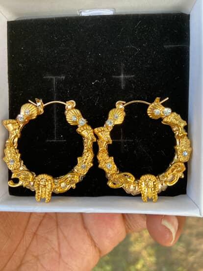Charming Earrings